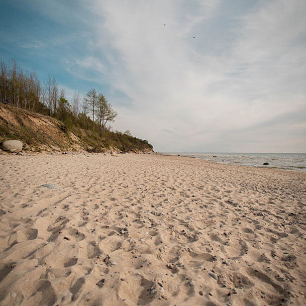 New 1 additional image